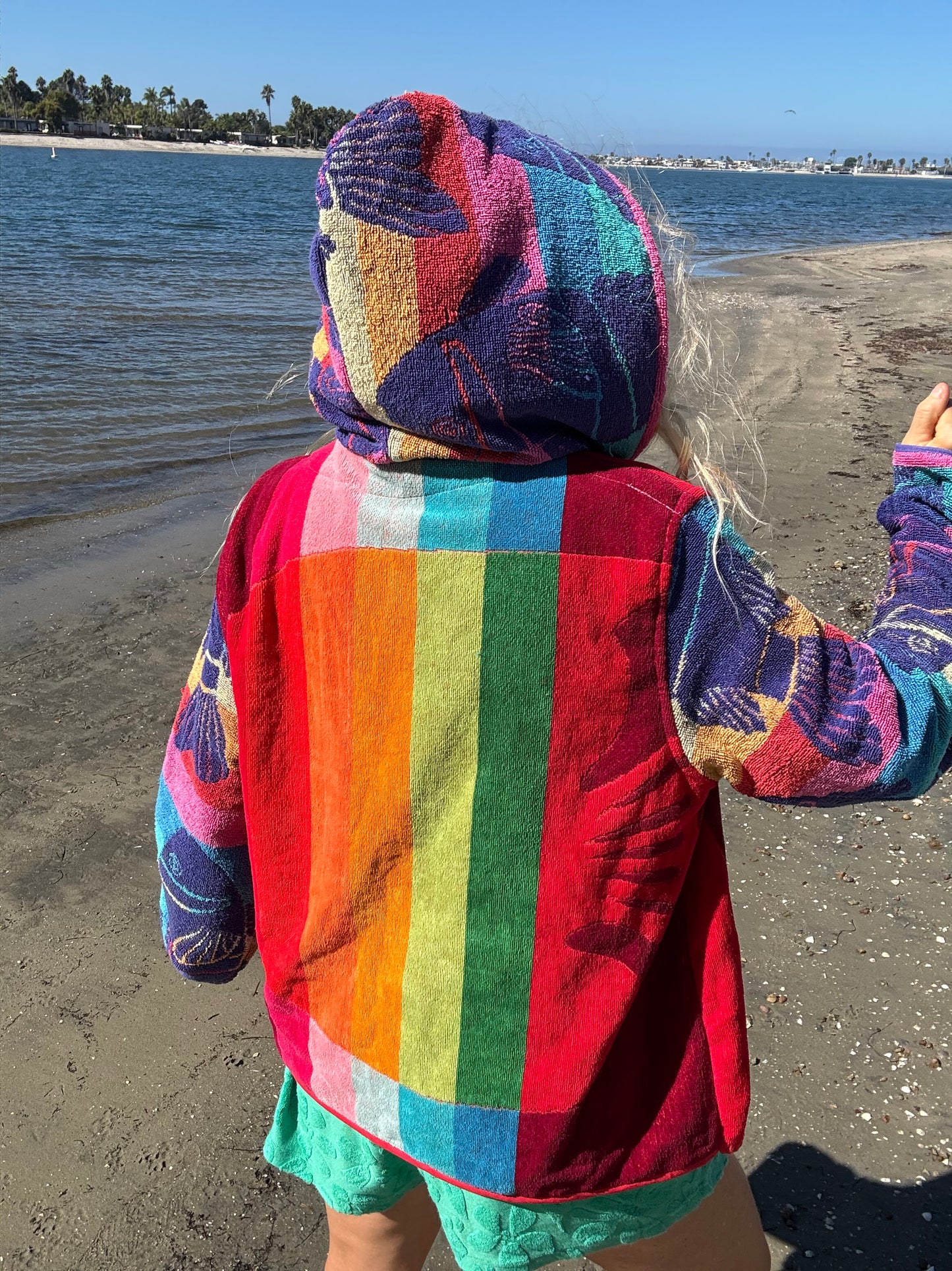 *Rainbow Fish Hoodie