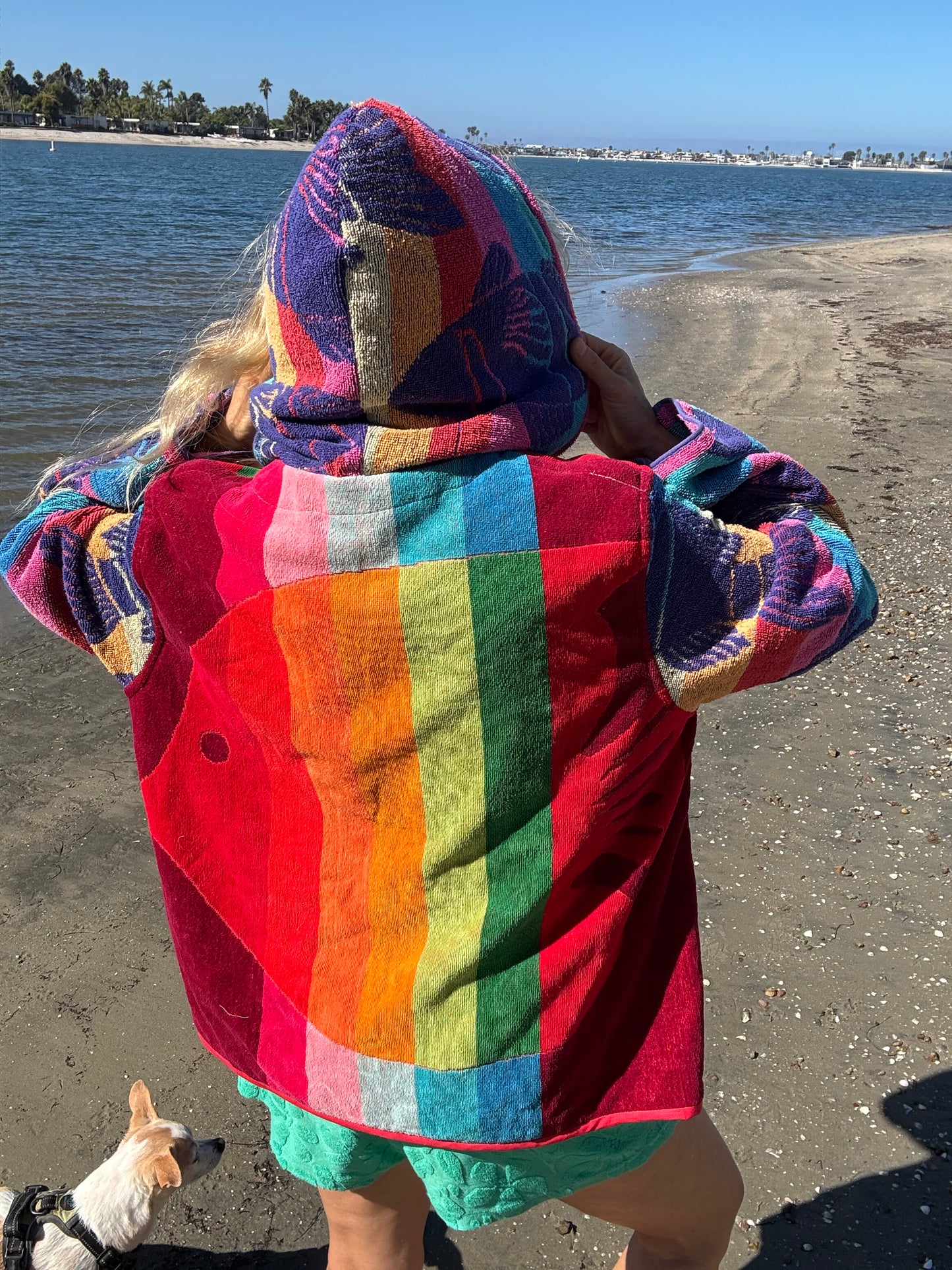 *Rainbow Fish Hoodie