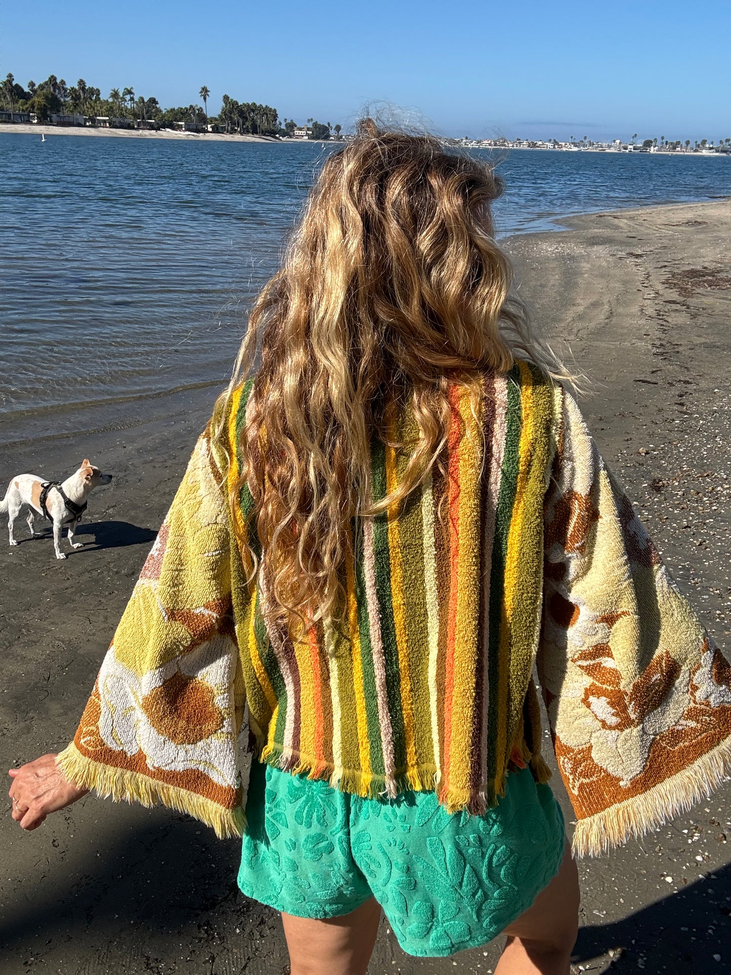 *Yellow & Green Pullover